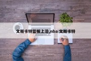 文斯卡特篮板上沿,nba 文斯卡特