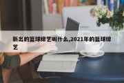 新出的篮球综艺叫什么,2021年的篮球综艺