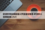 欧洲杯预选赛直播小罗直播在哪看,欧洲杯小组赛直播cctv5