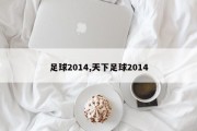 足球2014,天下足球2014