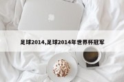 足球2014,足球2014年世界杯冠军