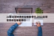 22年足球世界杯在哪里举行,2022足球世界杯在哪里举行