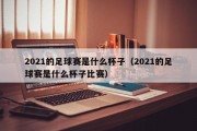 2021的足球赛是什么杯子（2021的足球赛是什么杯子比赛）