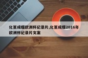 化茧成蝶欧洲杯纪录片,化茧成蝶2016年欧洲杯纪录片文案