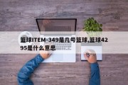 篮球ITEM-349是几号篮球,篮球4295是什么意思