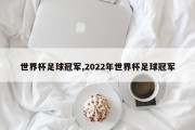 世界杯足球冠军,2022年世界杯足球冠军