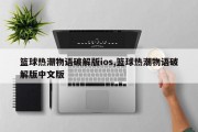 篮球热潮物语破解版ios,篮球热潮物语破解版中文版