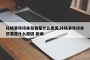 孙杨事件终身禁赛是什么原因,孙杨事件终身禁赛是什么原因 新闻