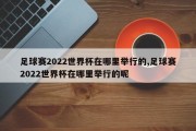 足球赛2022世界杯在哪里举行的,足球赛2022世界杯在哪里举行的呢