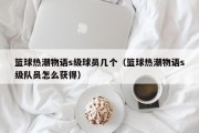 篮球热潮物语s级球员几个（篮球热潮物语s级队员怎么获得）